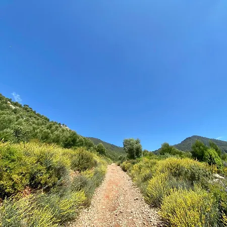 Villa Desierto De Las Palmas Benicasim * Benicassim