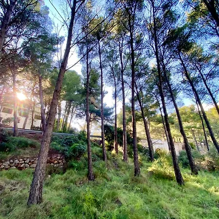 Villa Desierto de las Palmas Benicasim Bed and breakfast Benicàssim